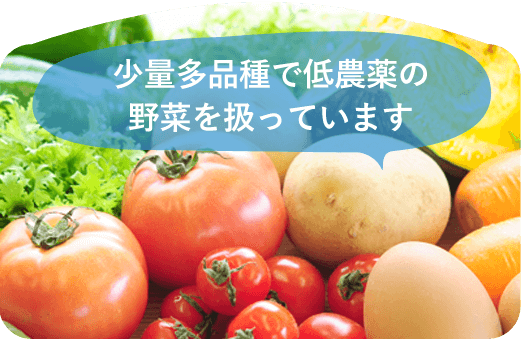 少量多品種で低農薬の野菜を育てています